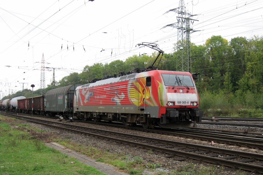 189 065 mit Werbung fr deutsch-niederlndische Zusammenarbeit rollt mit einem gemischten Gterzug am 24.09.09 in Gremberg ein.