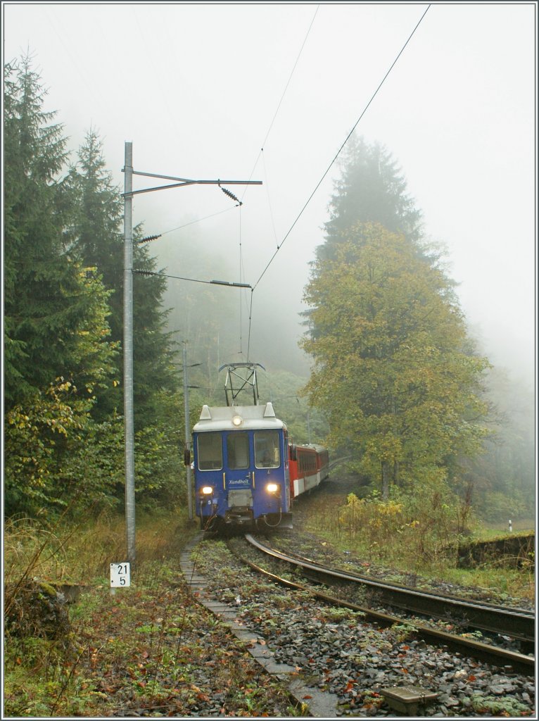 Auch  schlechtes Wetter  macht hin und wieder ein gutes oder zumindest interessantes Bild... 
IR (!)3669 von Engelberg nach Luzern bei Grnenwald am 18. Oktober 2010.

