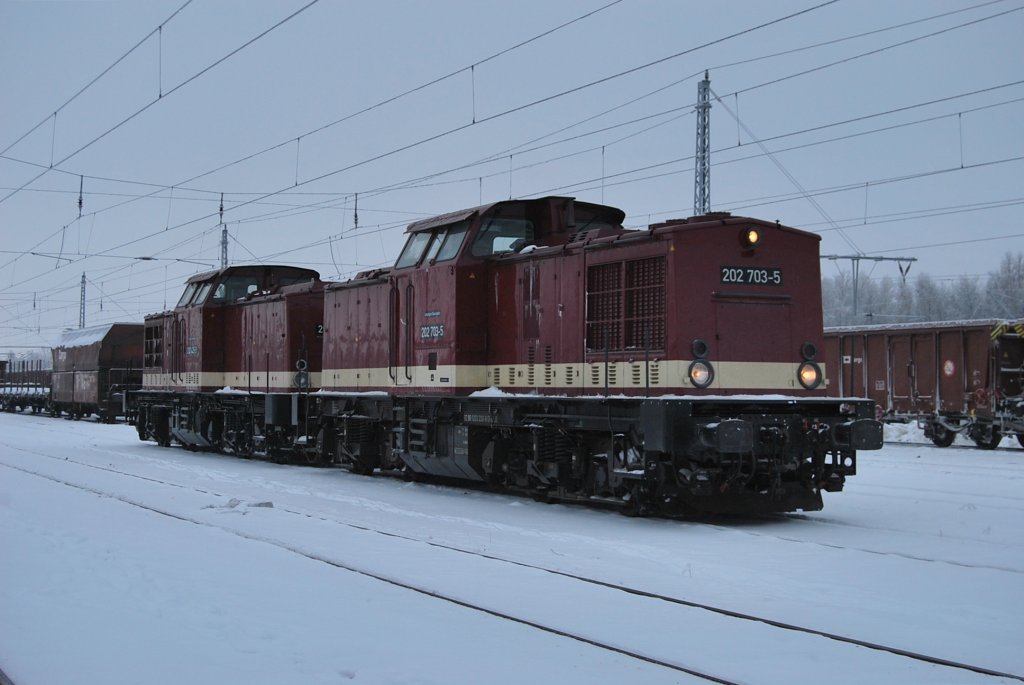 Die 202 703+202 425 der Leipziger Eisenbahngesellschafft(LEG) rangieren am 30.12.2010 in Rostock-Seehafen Sd.