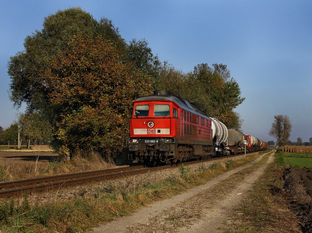 Die 233 662 am 12.10.2010 mit einem Gterzug unterwegs bei Alttting.