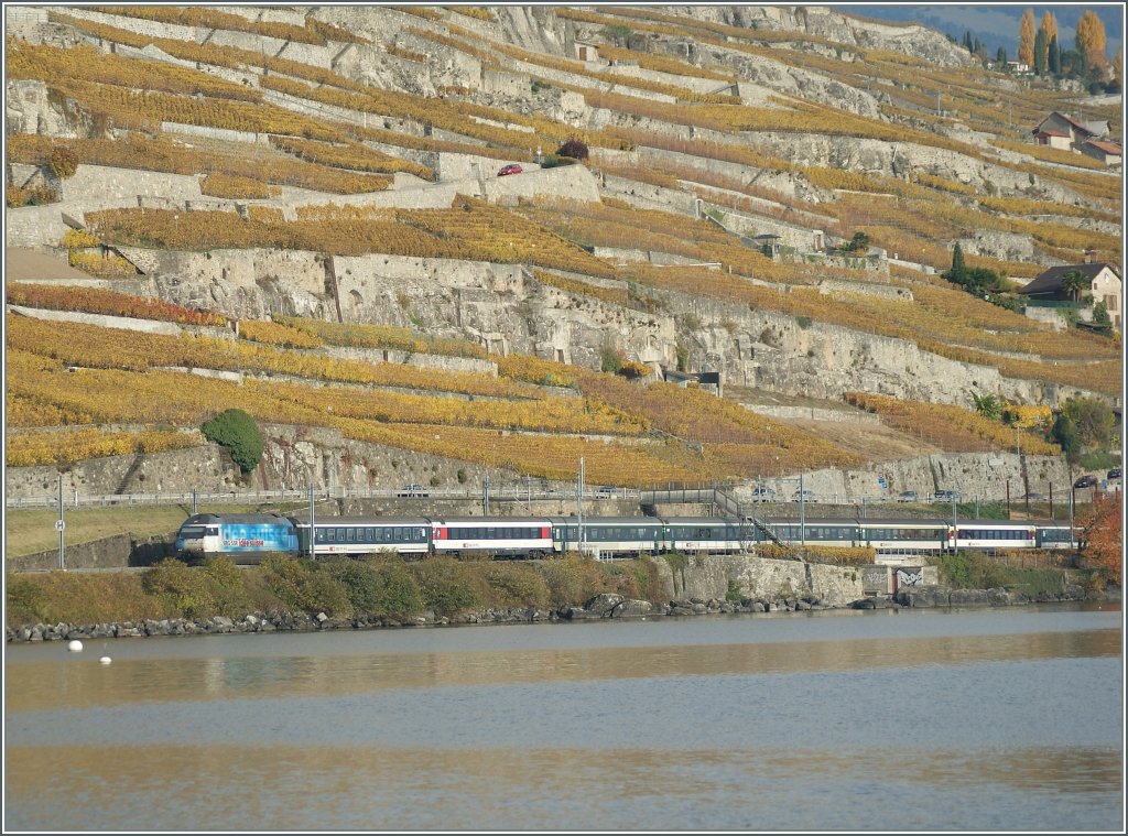 Die Re 460  ide suisse  ist mit einem IR unterwegs bei Rivaz. 
04.11.2010 