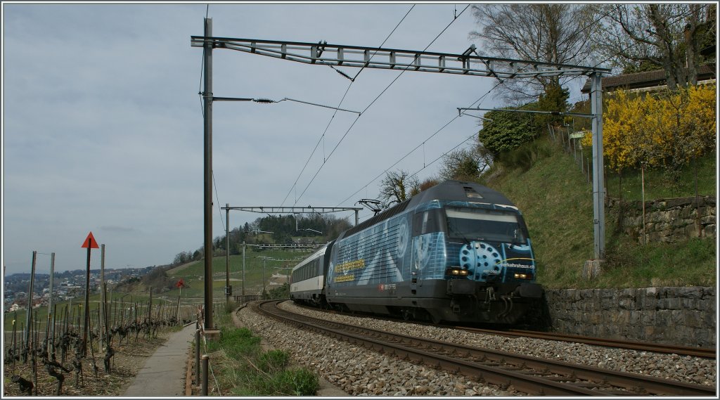 Die SBB RE 460 050-5 wirbt fr das Verkehrshaus der Schweiz. 
Bei Grandvaux, den 1. April 2011