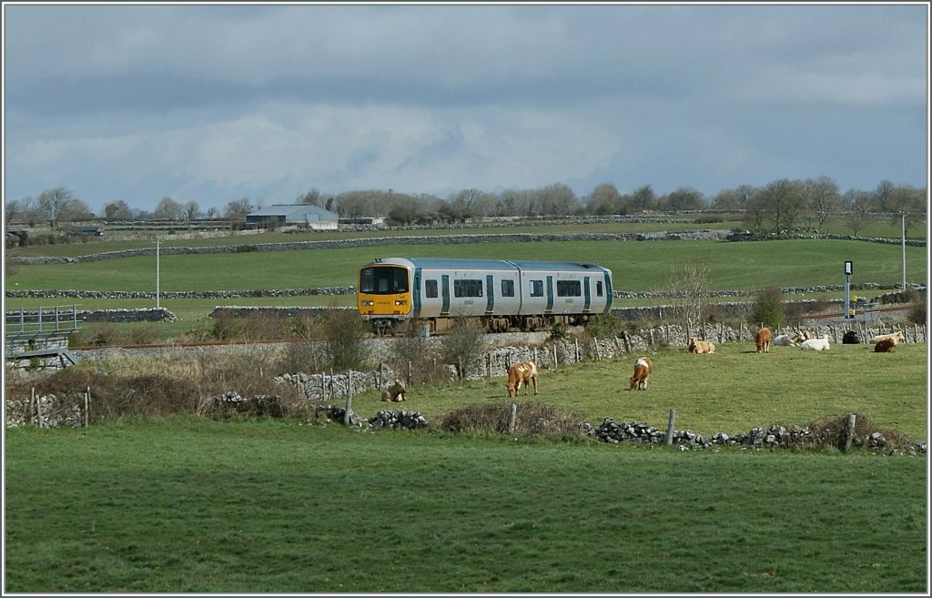 Ein Lokalzug auf der Strecke Limerick - Galway in der Nhe von Galway.
21.04.2013