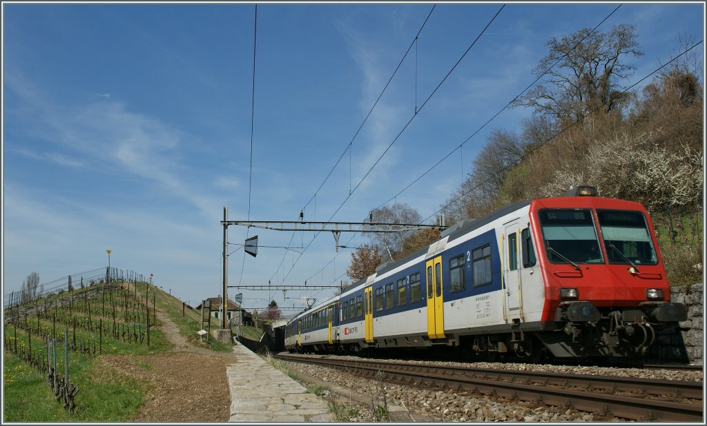 Ein NPZ als S4 unterwegs von Morges nach Palzieux bei Bossire am 1. April 2011.