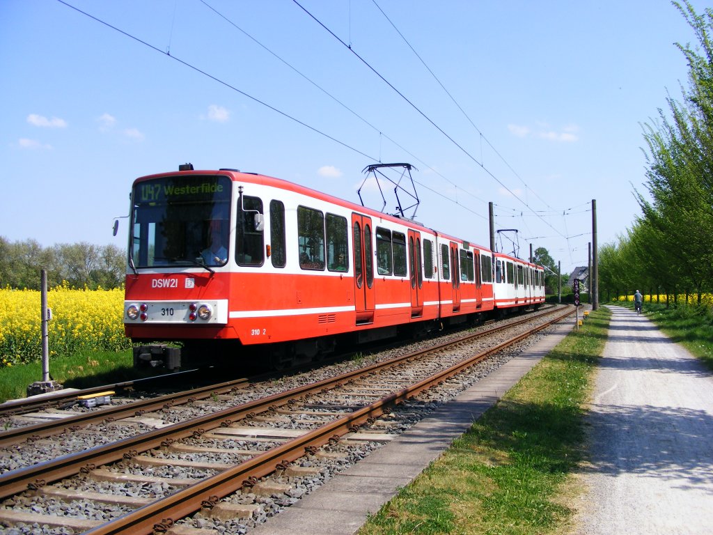 Eine Doppeltraktion aus Stadtbahnwagen B der Dortmunder Stadtwerke ist am 9. Mai 2008 zwischen Obernette und Westerfilde unterwegs.