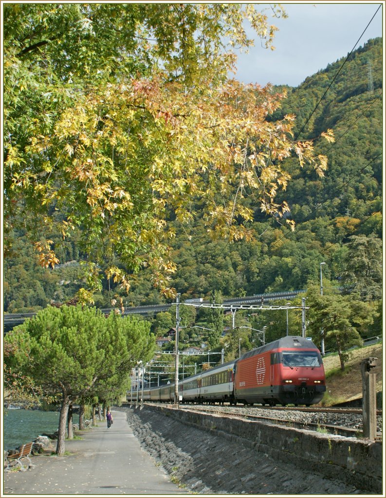 Herbststimmung am Genfersee: SBB Re 460 090-4 mit einem IR bei Villenveuve. 
4. Okt. 2010