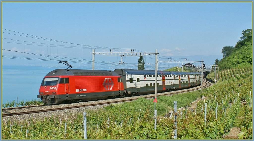 In der schn Weinberglandschaft des Lavaux schiebt die Re 460 085-4 den IC 710 nach Genve zwischen Grandvaux und Bossire am 31. Mai 2009 in Richtung Lausanne.