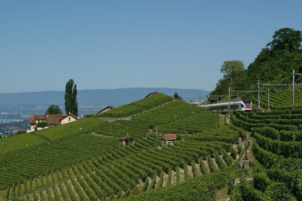 Inmitten von Weinbergen sucht sich ein SBB Flirt RABe 523 seinen Weg nach Lausanne.
Zwischen Grandvaux und Bossière, den 18.07.2012