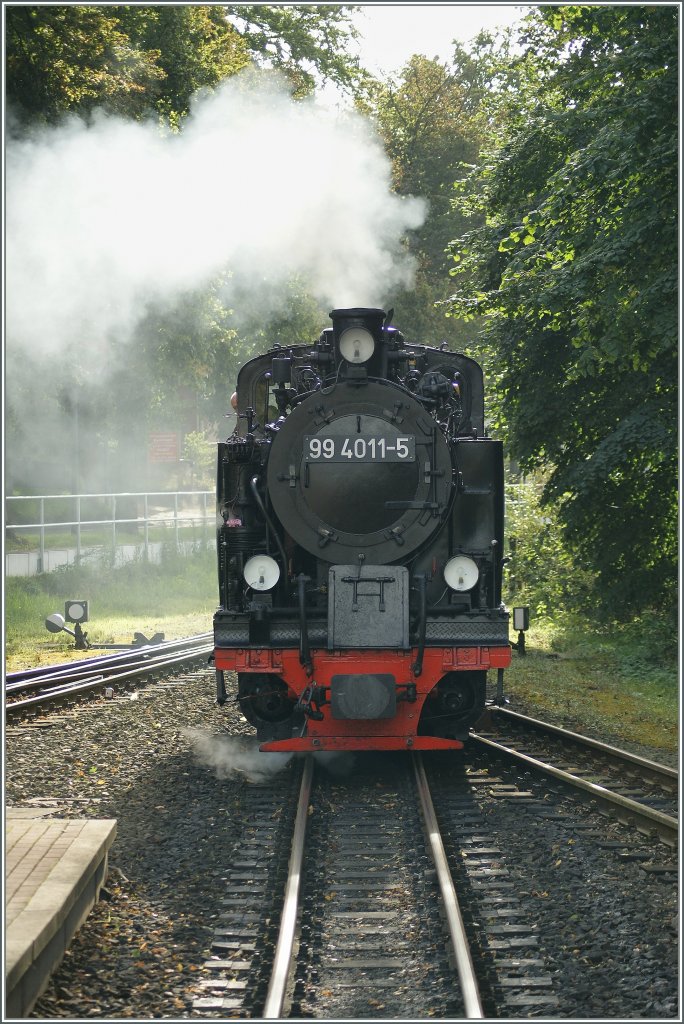 bernimmt ihren Zug, den P 223, in Binz LB: die RBB 99 4011-5.
(Das Bild wurde vom Plattformwagen aus gemacht.)
16. Sept. 2010  