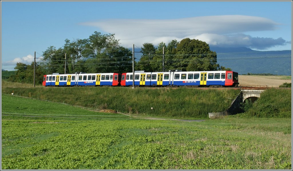 Zwei Bem 550 als Regionalzug zwischen Satigny und Russin. 
31.08.2010