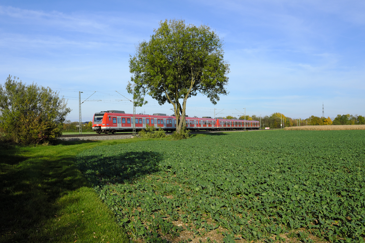 423 776-4 war am Nachmittag des 13.10.17 bei Heimstetten als S2 nach Petershausen unterwegs.