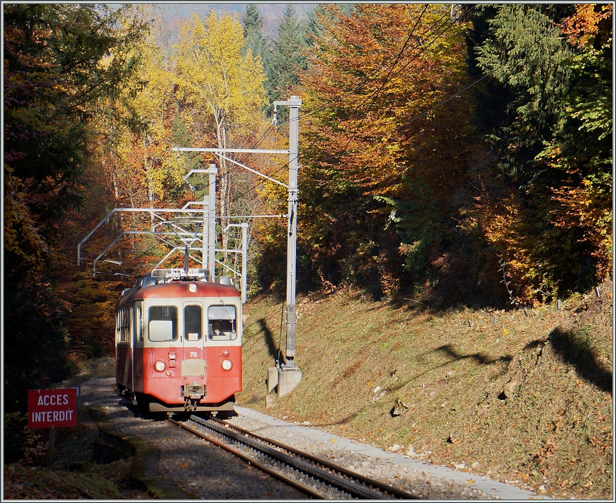 Der CEB BDeh 2/4 N° 73 kommt als Regionalzug 1379 durch den Wald von Chexbres oberhalb von Blonay...
27.10.2015