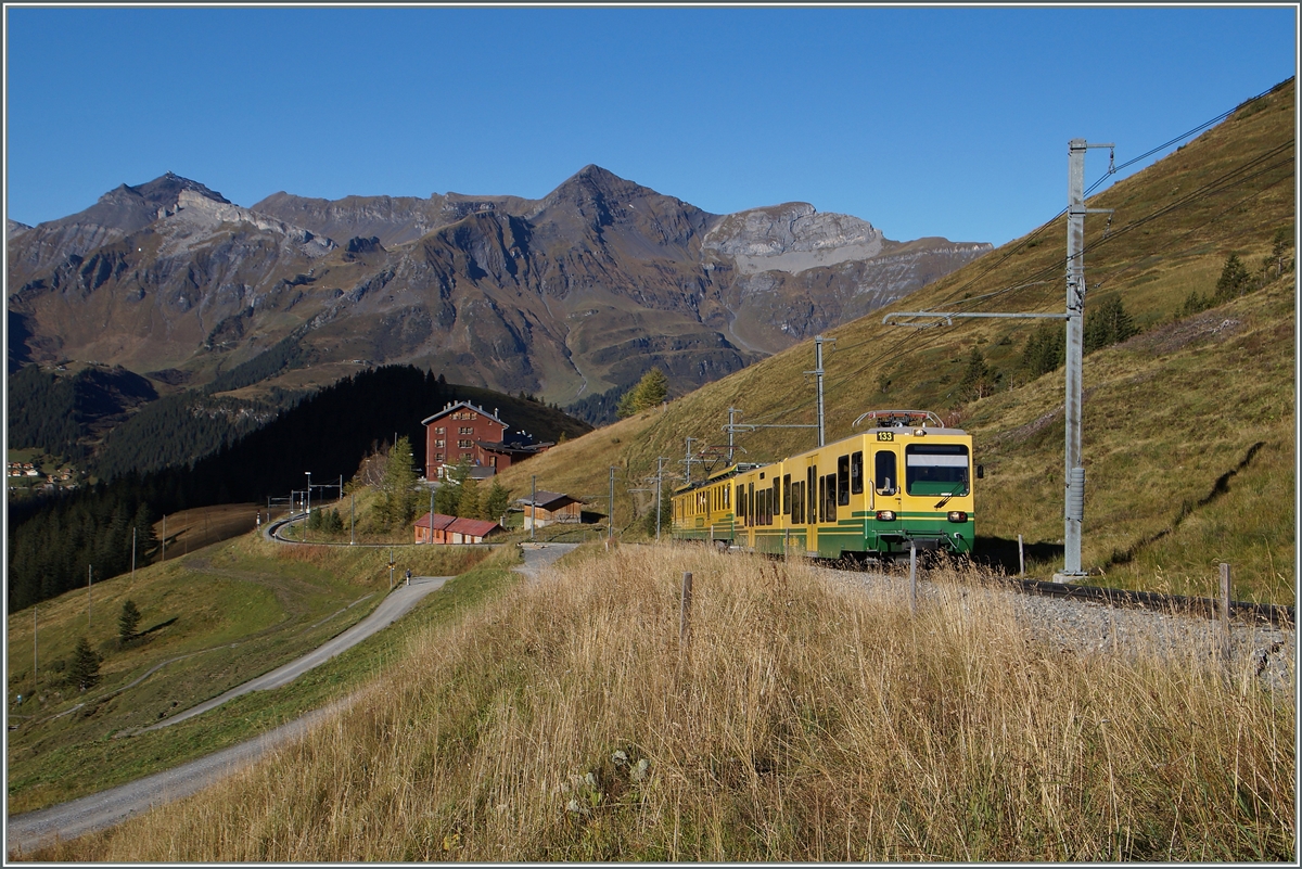 Der Doppeltriebwagen Beh 4/8 133 schiebt seinen WAB Zug Richtung Kleine Scheidegg. 
9. Okt. 2014