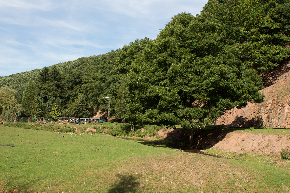 Der erste Zwischenhalt des Tages zum hautnahen Wild-Füttern im Eifelzoo Lünebach wurde eingelegt. (26.08.15)
