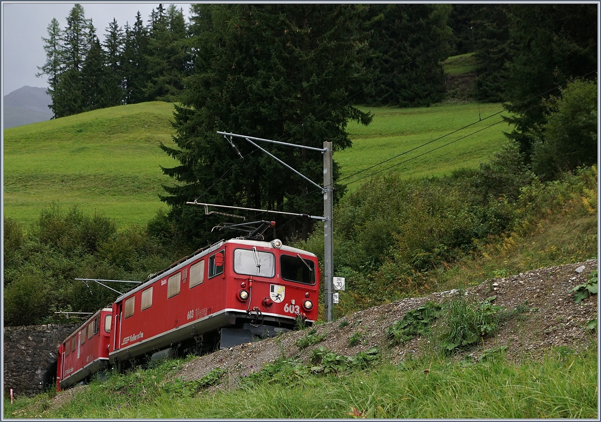 Der Zug war trotz dem Umwegs durch den Kehrtunnel schneller als der Fotograf auf dem direkten Weg den Hang hoch: Zwei RhB Ge 4/4 mit einem Albulaschnellzug nach St. Moritz oberhalb von Bergün.
11. Sept. 2017 