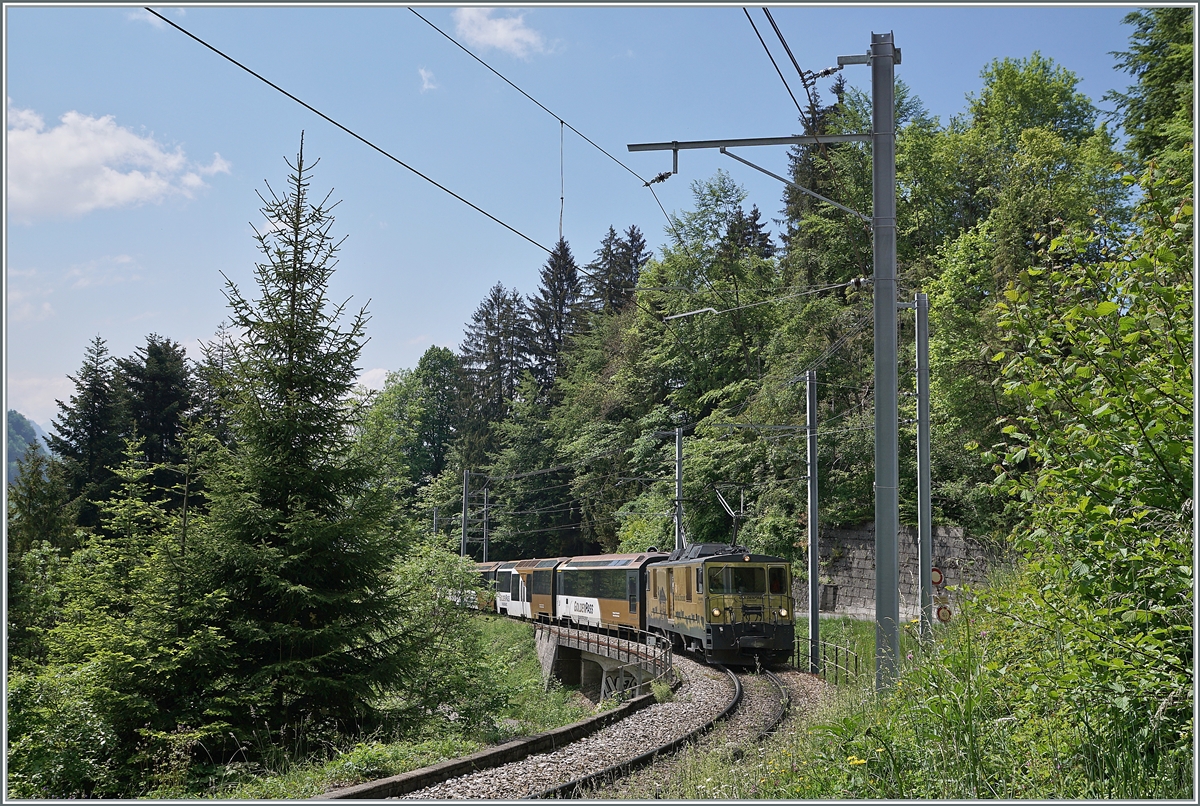 Die MOB GDe 4/4 6003 fährt mit ihrem GoldenPass Express von Montreux nach Zweisimmen kurz n nach Sendy-Sollard durch einen Waldabschnitt in Richtung Les Avants. 

17. Mai 2020