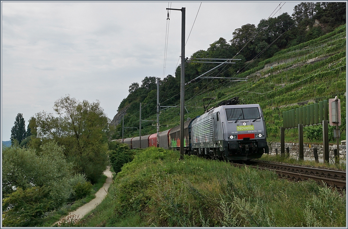Die MRCE 189 090  Göttigen  (UIC 91 80 6189 990-5 D-Dispo Class 189 VE) mit ihrem Novelis Zug von Sierre nach Göttingen kurz vor Twann.
31. Juli 2017