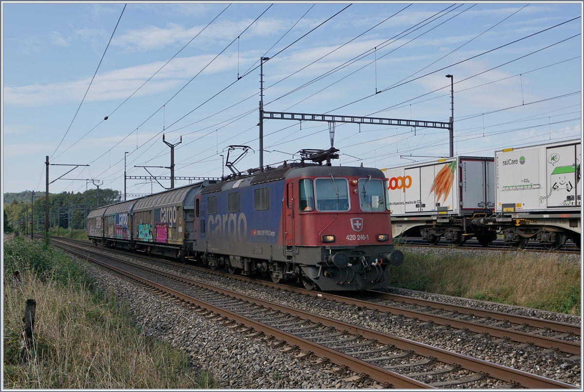Die SBB Re 420 246-1 mit einem kurzen Güterzug in Vufflens la Ville.
29. August 2018