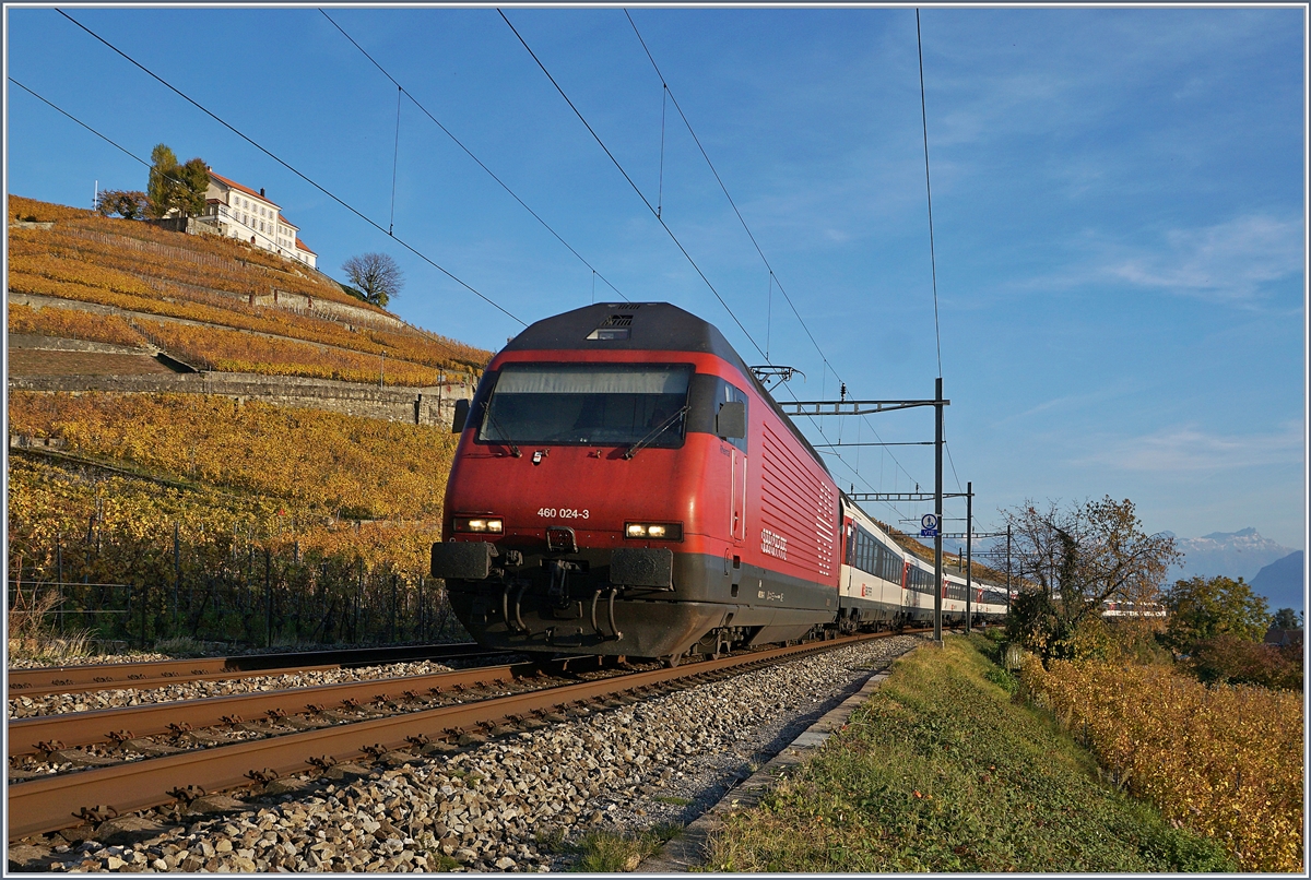 Die SBB Re 460 023-3 mit einem IR nach Genève im herbstlichen Lavaux kurz vor Lutry.
3. Nov. 2017