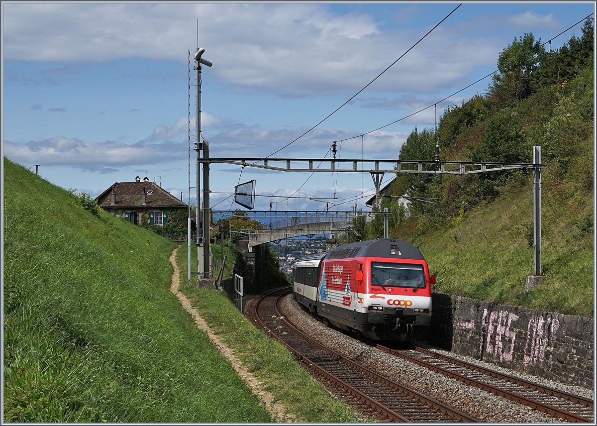 Die SBB Re 460 065-6 mit einem IR nach Luzern zwischen Bossiere und Grandvaux.6. Sept. 2017
