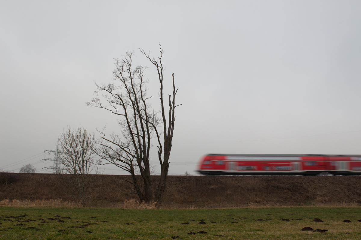 Ein alter Baum bekam am 31.12.15 von mir die Ehre zuteil, mit einem Doppelstock-Steuerwagen verewigt zu werden.

245 012-0 schob ihren Dosto-Zug von Mühldorf nach München Hbf.