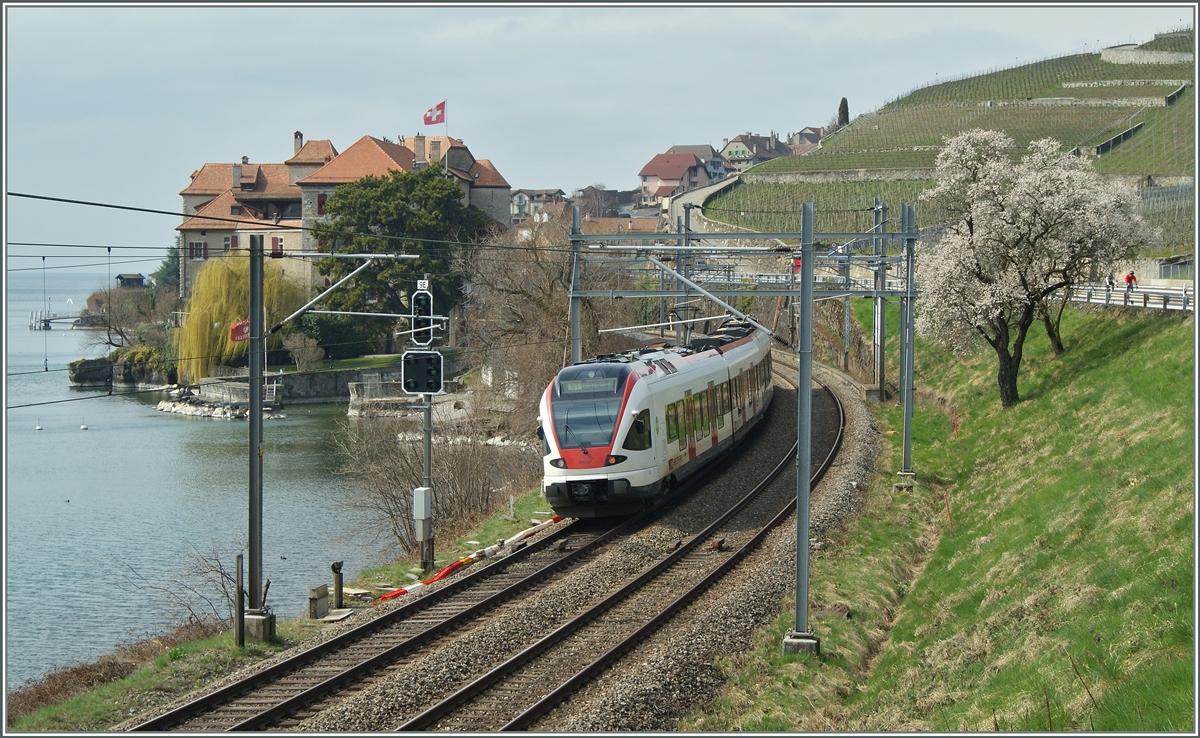 Ein Flirt RABe 523 auf dem Weg nach Lausanne kurz vor Rivaz. 

22. März 2015