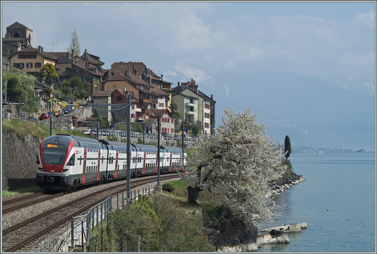 Ein RABe 511 als RE Genève - Vevey bei St-Saphorin. 6. April 2014