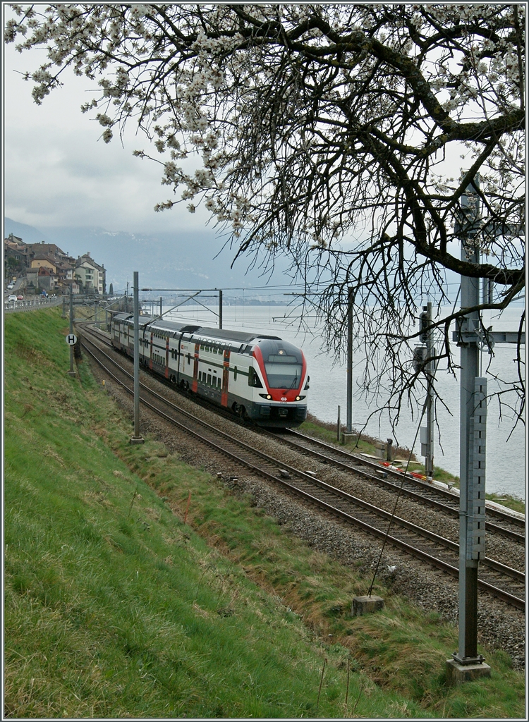 Ein SBB RABe 511 auf der Fahrt Richtung Genève bei Rivaz. 
22. März 2015