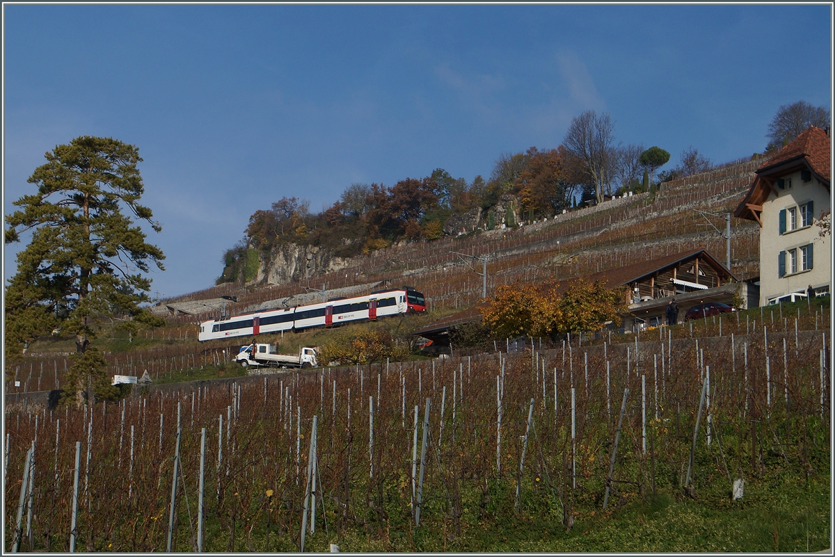 in Domino als S31 auf der Fahrt von Vevey nach Puidoux-Chexbres oberhalb von St-Saphorin. 22. Nov. 2014