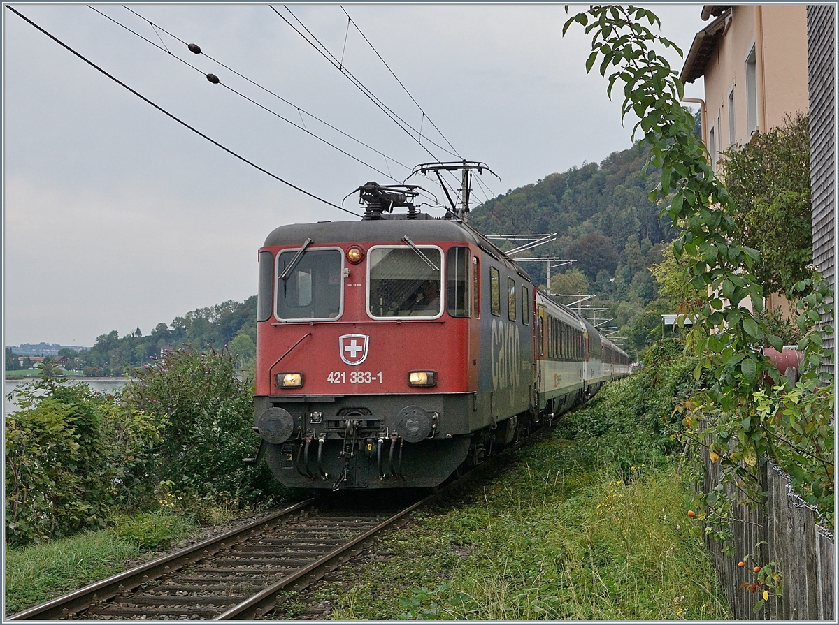 Kurz vor Bregenz ist die SBB Re 421 383-1 mit einem EC von München nach Zürich unterwegs. 

21. Sept. 2018