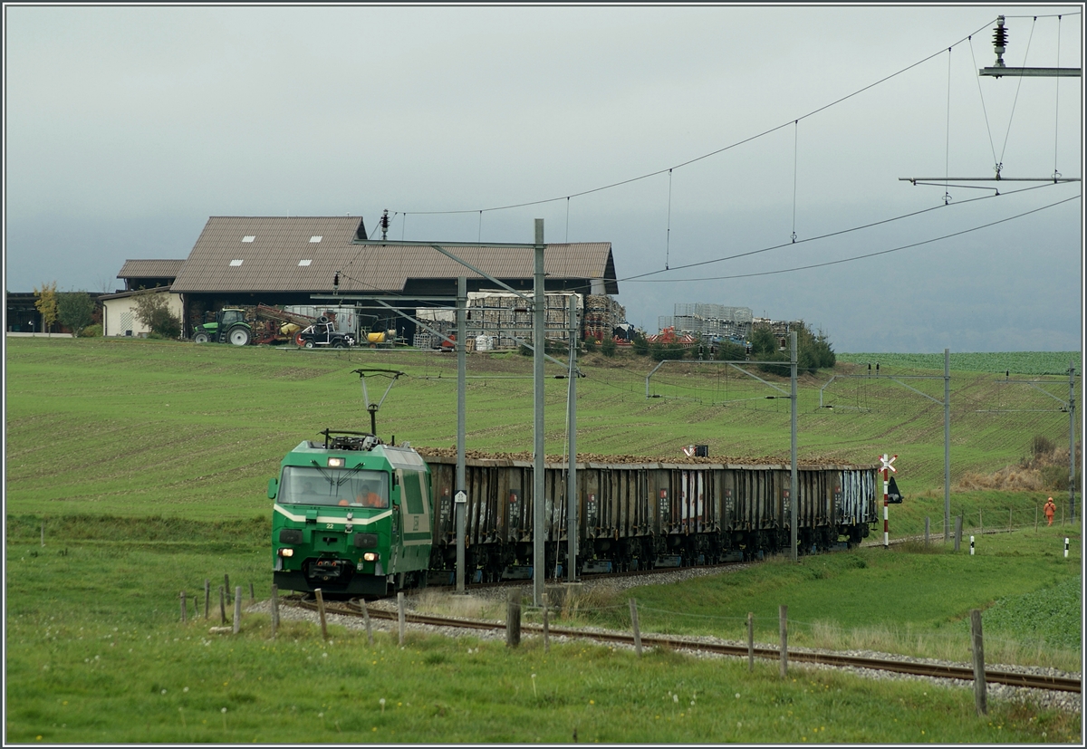 Zuckerrübenverlad auf freier Strecke: Die sieben Eaos sind voll und der Zug fährt nun nach Morges. 

15. Okt. 2014