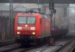 BR 145 Den 'l�ngsten' Zug des Tages zog die (Baby)TRAXX 145 055-0 die mit ihren 3 Waggons und den Kupferrohren drauf m�chtig zu k�mpfen hatte.....
HH 29.12.2009