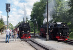 Während 99 7245-6 am 16.08.16 auf der Harzquerbahn eingesetzt wurde und als nächste Leistung nach Eisfelder Talmühle verkehrt, stand 99 7237-3 auf der Brockenbahn im Einsatz und setzt