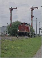br-211-213-v100-west-auch-0212-v90p/789992/die-diesellok-211-041-9-92-80 Die Diesellok 211 041-9 (92 80 1211 041-9 D-NeSA) rangiet im Bahnhof Zollhaus Blumberg. 

27. Aug. 2022