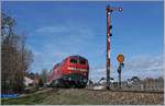 br-218-v-164/653381/die-db-218-409-1-ist-mit Die DB 218 409-1 ist mit ihrem RE nach Lindau bei Nonnenhorn auf dem Weg nach Lindau.

16. März 2019