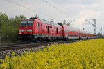 245 012-0 war am 02. Mai 2016 mit ihrem Doppelstockzug von München Hbf nach Mühldorf in Heimstetten unterwegs.