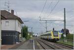 BR 0612/818559/der-db-612-611-verlaesst-nach Der DB 612 611 verlässt nach kurzen Halt Erzingen (Baden). Der Zug ist auf der Fahrt von Basel Bad Bf nach Singen.

6. Sept. 2022
