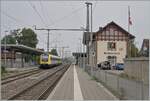 Die Gegend westlich von Schaffhausen nennt sich Klettgau, liegt in der Schweiz und wird von der DB Strecke Erzingen - Schaffhausen bedient, wobei die IRE im Klettgau keinen Verkehrshalt auf weisen, wie z. Bi dieser in Wilchingen Hallau vorbeifahrende VT 612.

 
6. Sept. 2022
