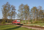 Auf seiner Fahrt von Wasserburg (Inn) nach Grafing Bahnhof passierte der Mühldorfer 628 628-0 vor Ebersberg am 21.04.17 einen kleinen Tunnel durch eine Birkenreihe.