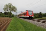 423 618-8 der S-Bahn München konnte am kalten Pfingsmontag 2016 als S2 nach Erding zwischen Heimstetten und Grub fotografisch festgehalten werden. (16.05.16)