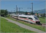 br-54125812-ice-4/735846/dersb-ice-9038-ist-von-interlaken DerSB ICE 9038 ist von Interlaken Ost nach Frankfurt unterwegs und erreicht kurz nach Faulensee in Kürze den Bahnhof von Spiez. 

14. Juni 2021