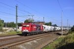 meg-mitteldeutsche-eisenbahn-gmbh/516804/mit-dem-dgs-88981wrs-brue-rauscht-die Mit dem DGS 88981(WRS-BRUE) rauscht die MEG 804 am 02.09.2016 durch Kavelstorf.