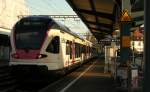 Ein Seehas Flirt in Konstanz.
09.12.2009   ...