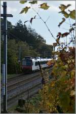 Durch den bunten Herbst fährt ein  Domino  Richtung Payerne. Zwischen Bossiere und Grandvaux, den 23. Okt. 2014