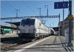 meine Favoriten/608238/die-rail-care-rem-476-454 Die Rail Care Rem 476 454 (UIC 91 85 4476 454-4 CH RLC) in Morges.
19. April 2018