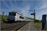 BB 22200/503165/die-sncf-bb-22-362-ist Die SNCF BB 22 362 ist mit ihrem TER von Lyon auf dem Weg nach Genève und fährt gerade durch Russin.
20. Juni 2016