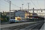 Die SNCF BB 22393 hat mit ihrem TER von Lyon ihr Ziel Genève erreicht.

6. September 2021
