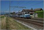 BB 22200/751997/die-sncf-bb-22391-nez-cass233 Die SNCF BB 22391 'Nez cassé' mit ihrem TER von Lyon nach Genève bei Bourdigeny. 

19. Juli 2021
