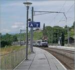 Unter einer typischen, moderner SBB Fahrleitungsanlage, die aber mit SNCF Wechselstrom 2500 V,  50 Hz gespeist wird, ist eine SNCF BB 2220 mit ihrem TER bei Russin auf dem Weg nach Genève.