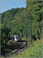 Der TGV Lyria 9768 auf der Fahrt von Lausanne nach Paris bei der Fahrt durch den Wald zwischen La Plaine und Pougny-Chancy.